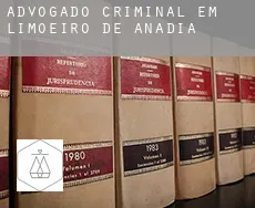 Advogado criminal em  Limoeiro de Anadia