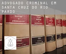 Advogado criminal em Santa Cruz do Rio Pardo