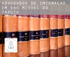 Advogados de imigração em  São Miguel do Tapuio