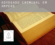 Advogado criminal em  Ampére