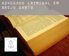Advogado criminal em  Brejo Santo
