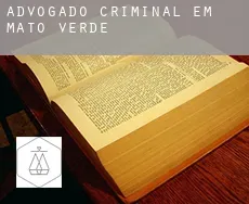 Advogado criminal em  Mato Verde