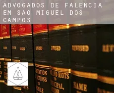 Advogados de falência em  São Miguel dos Campos