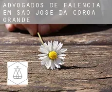 Advogados de falência em  São José da Coroa Grande