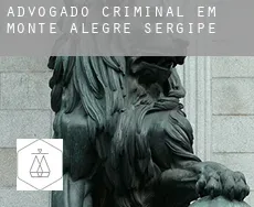 Advogado criminal em  Monte Alegre de Sergipe