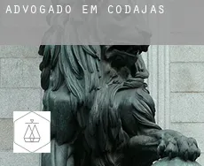 Advogado em  Codajás