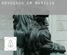Advogado em  Marília