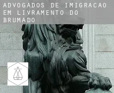Advogados de imigração em  Livramento de Nossa Senhora