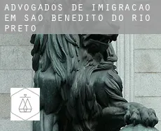 Advogados de imigração em  São Benedito do Rio Preto