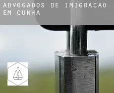 Advogados de imigração em  Cunha