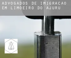 Advogados de imigração em  Limoeiro do Ajuru