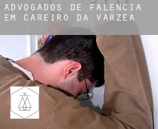 Advogados de falência em  Careiro da Várzea