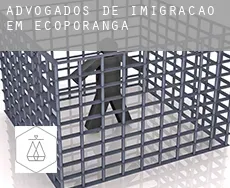 Advogados de imigração em  Ecoporanga