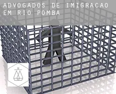 Advogados de imigração em  Rio Pomba
