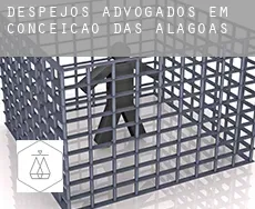 Despejos advogados em  Conceição das Alagoas
