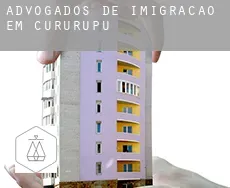 Advogados de imigração em  Cururupu