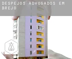 Despejos advogados em  Brejo