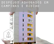 Despejos advogados em  Campinas e Região