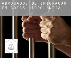 Advogados de imigração em  Hidrolândia (Goiás)