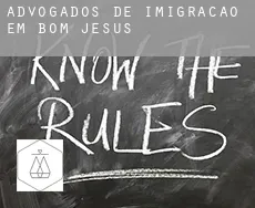 Advogados de imigração em Bom Jesus