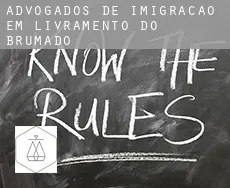 Advogados de imigração em  Livramento do Brumado