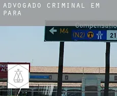 Advogado criminal em  Pará