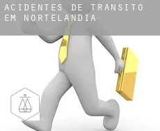 Acidentes de trânsito em  Nortelândia