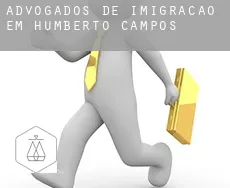Advogados de imigração em  Humberto de Campos