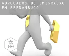 Advogados de imigração em  Pernambuco