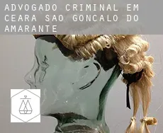 Advogado criminal em  São Gonçalo do Amarante (Ceará)