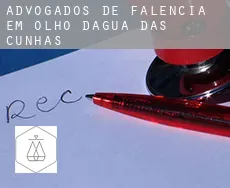 Advogados de falência em  Olho d'Água das Cunhãs