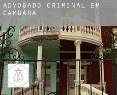 Advogado criminal em  Cambará