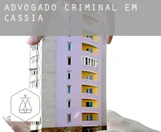 Advogado criminal em  Cássia