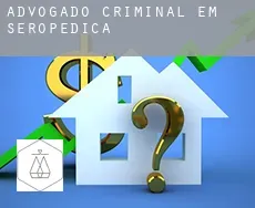 Advogado criminal em  Seropédica