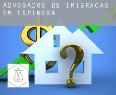 Advogados de imigração em  Espinosa