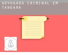 Advogado criminal em  Tangará