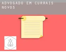 Advogado em  Currais Novos