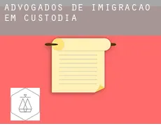Advogados de imigração em  Custódia