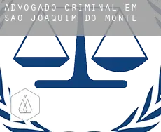 Advogado criminal em  São Joaquim do Monte