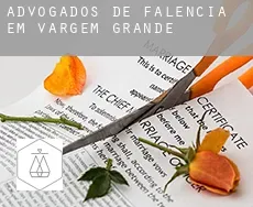 Advogados de falência em  Vargem Grande