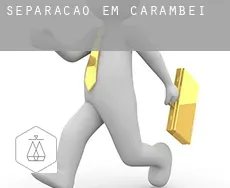 Separação em  Carambeí
