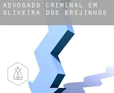 Advogado criminal em  Oliveira dos Brejinhos