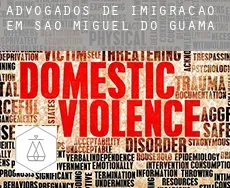 Advogados de imigração em  São Miguel do Guamá